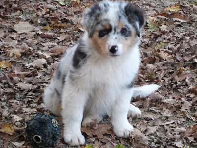VVINONA
